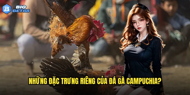 Những đặc trưng riêng của đá gà Campuchia?