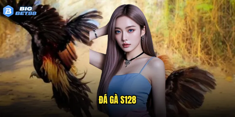 Đá gà S128 trên Bigbet88 có phải là sự lựa chọn tối ưu cho các cao thủ? 2 đá gà S128