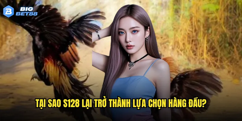 Tại sao S128 lại trở thành lựa chọn hàng đầu?