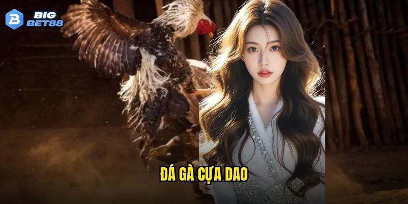 Đá gà cựa dao tại Bigbet88 có mang lại cảm giác hồi hộp như sàn thật? 6 đá gà cựa dao