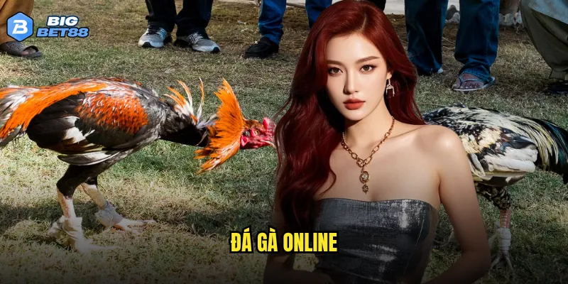Đá gà online tại Bigbet88 có thể thay thế hoàn toàn sân đá truyền thống? 5 đá gà online