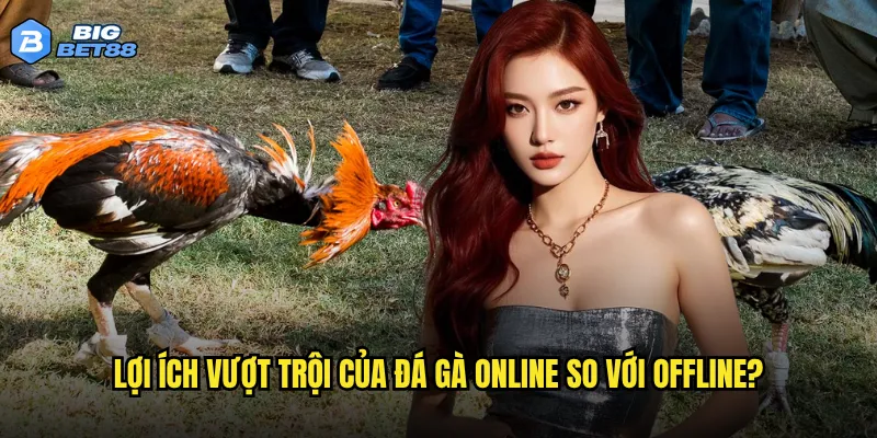 Đá gà online tại Bigbet88 có thể thay thế hoàn toàn sân đá truyền thống? 3 Lợi ích vượt trội của đá gà online so với offline?